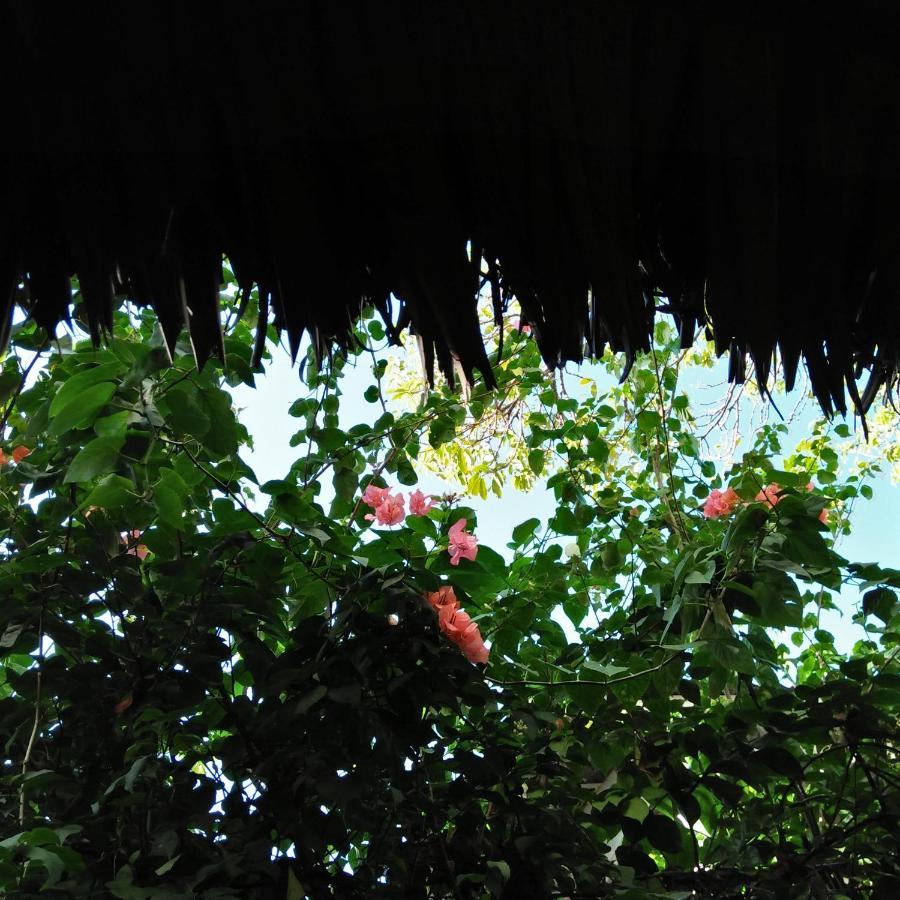 Cebu Pungko-Pungko Hostel Buitenkant foto